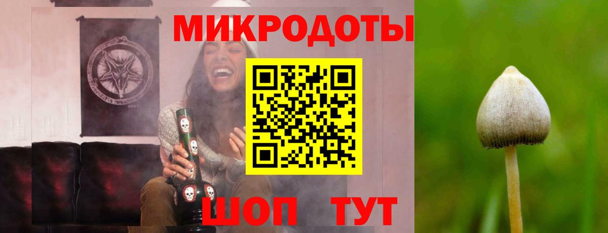 Михайловск  Псилоцибиновые грибы GOLDEN TEACHER  Вход с VPN 
